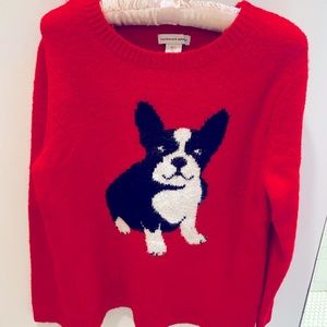 Cupcakes & Cashmere Boston Terrier Dog Sweater